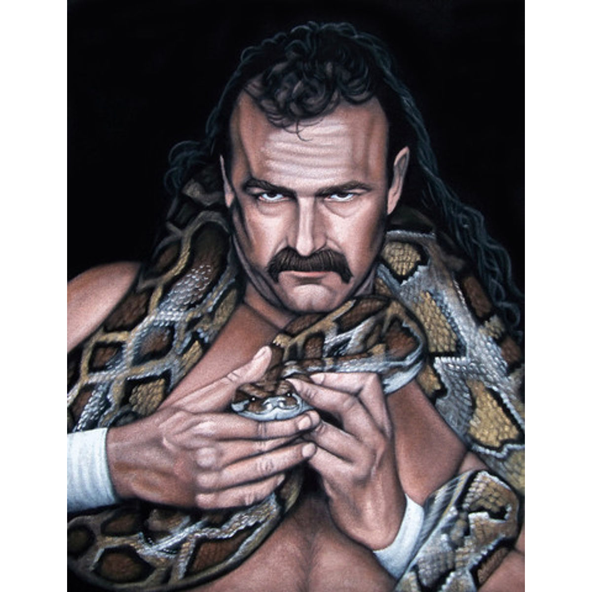 Jake the Snake Roberts