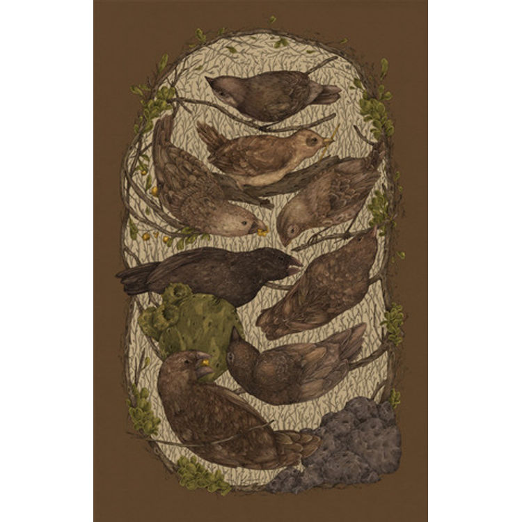 Feathered & Measured by Jessica Roux