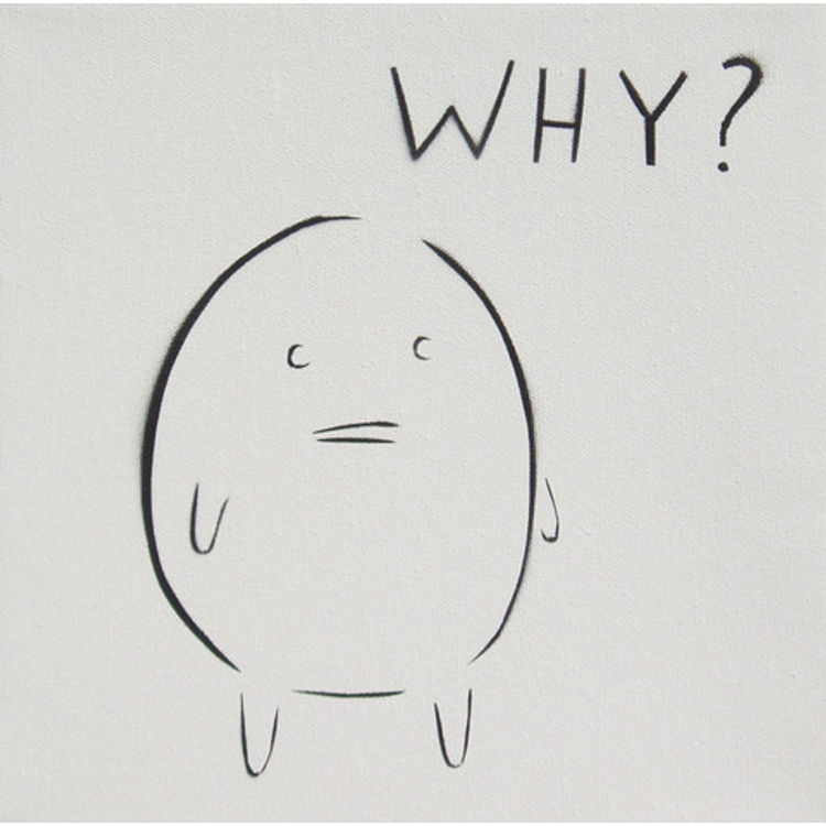WHY by Dan Goodsell