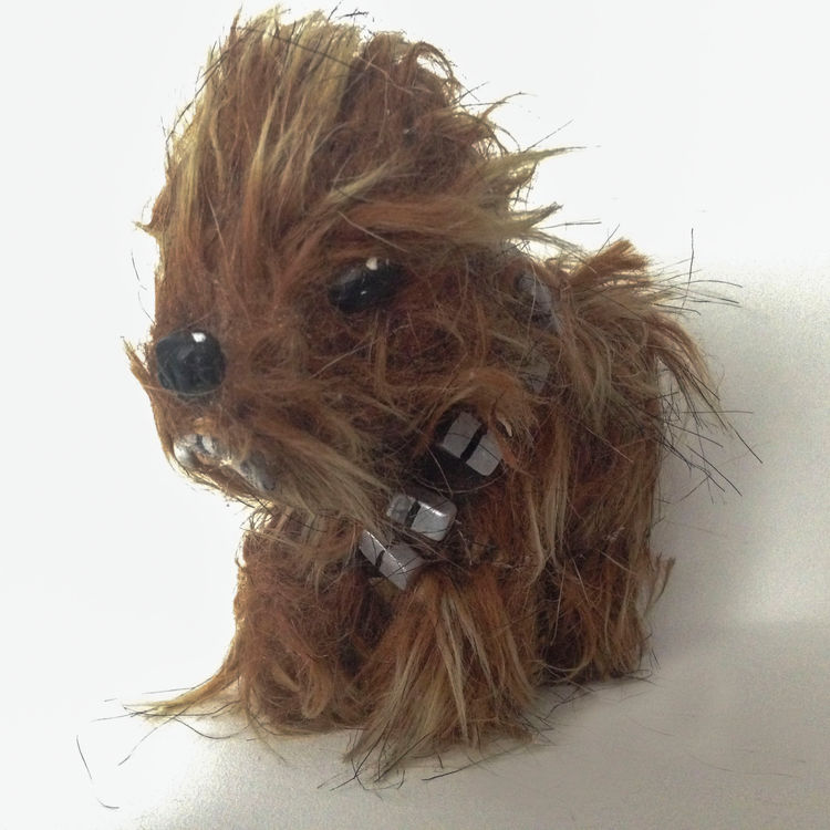 My Litttle Chewbacca by Rizzo Michelle