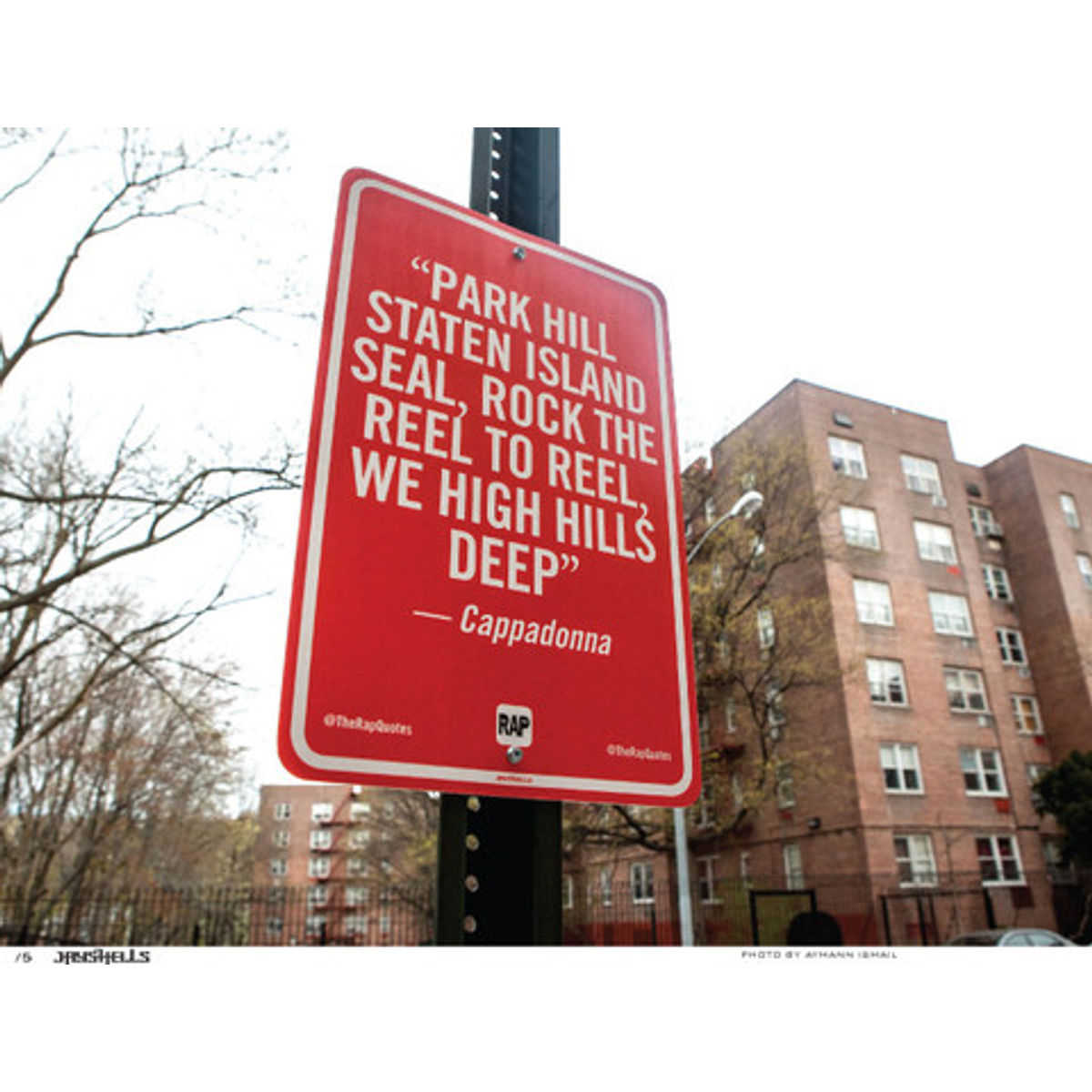 Park Hill Staten Island seal... (Photo)
