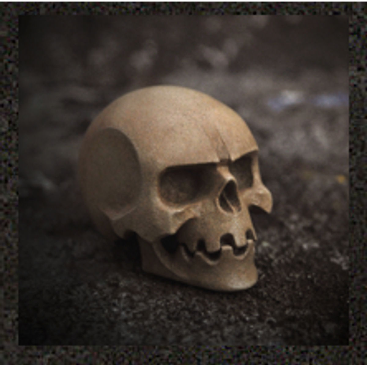 Skull – bone white
