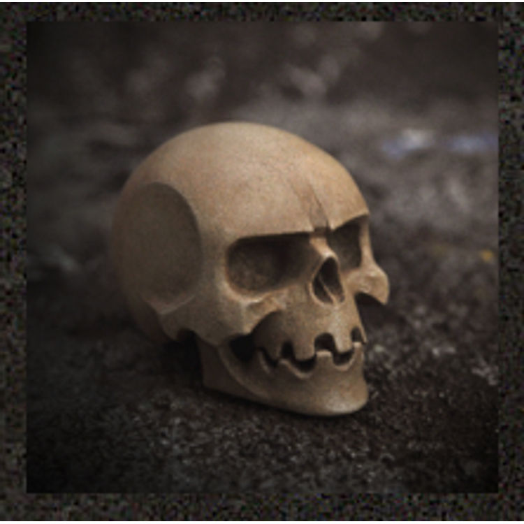 Skull – bone white by Skullman (13Art)