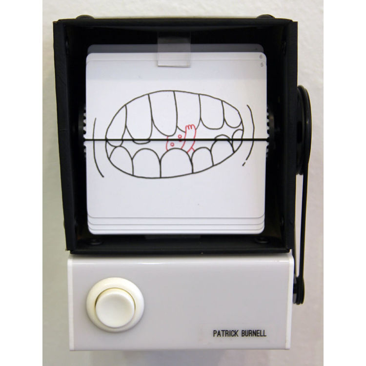 Patrick Burnell - FlipBooKit - #38 by Patrick Burnell