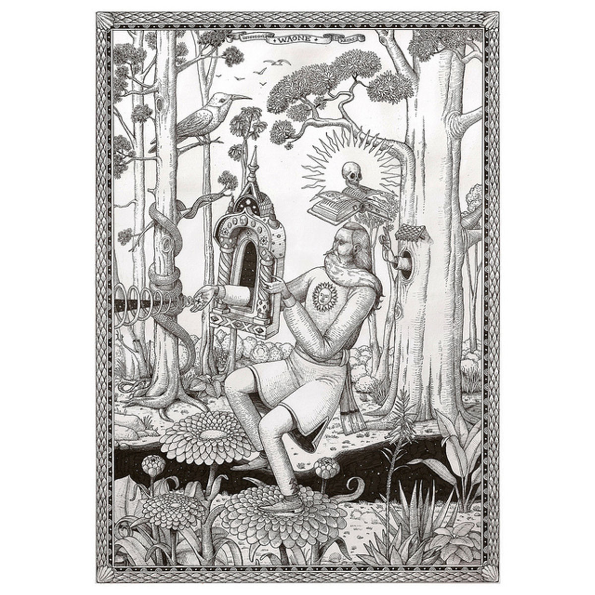 In Forest Wilds