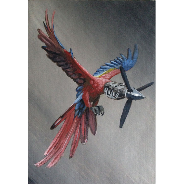 New Biology Psittacidae by Robert Bowen