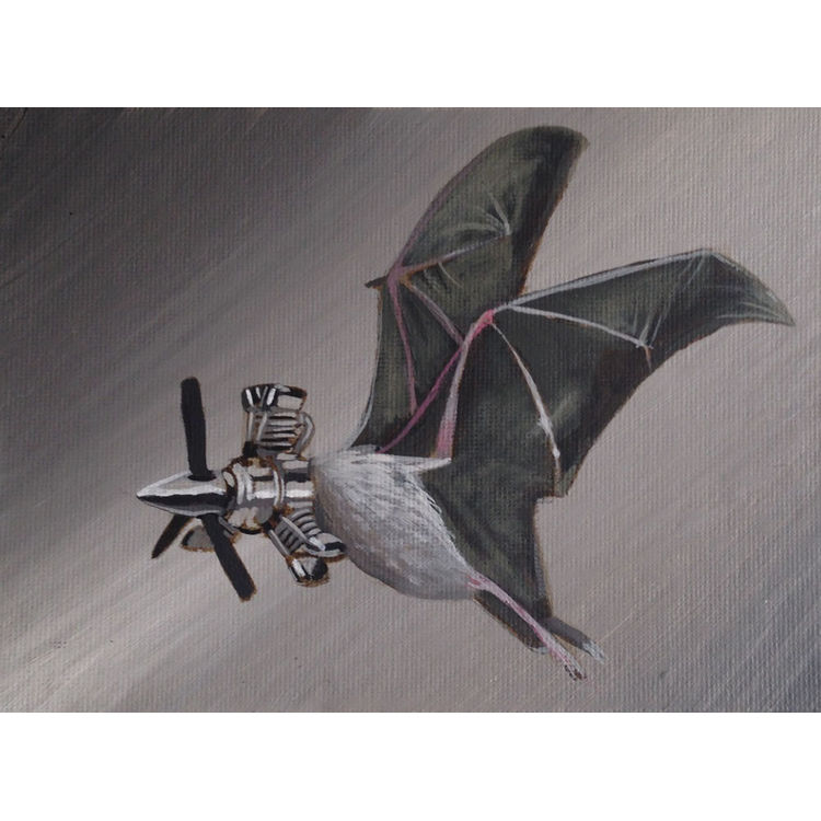 New Biology Chiroptera by Robert Bowen