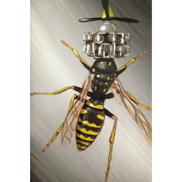 New Biology Hymenoptera by Robert Bowen