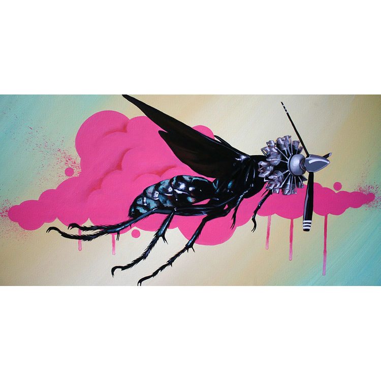 New Biology Pompilidae by Robert Bowen