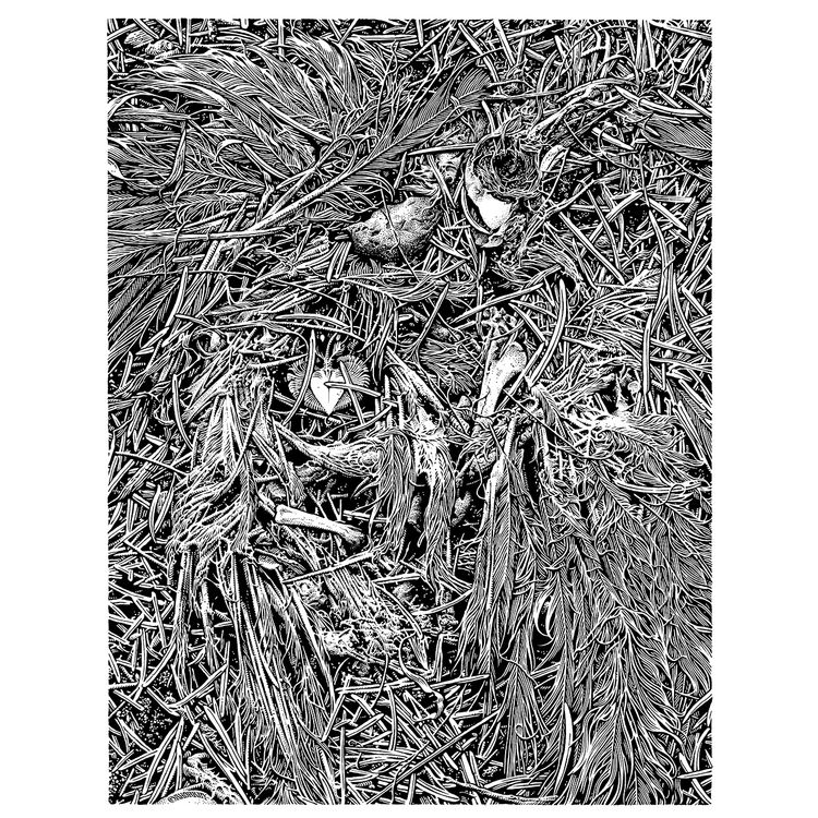 Hoarfrost by Aaron Horkey