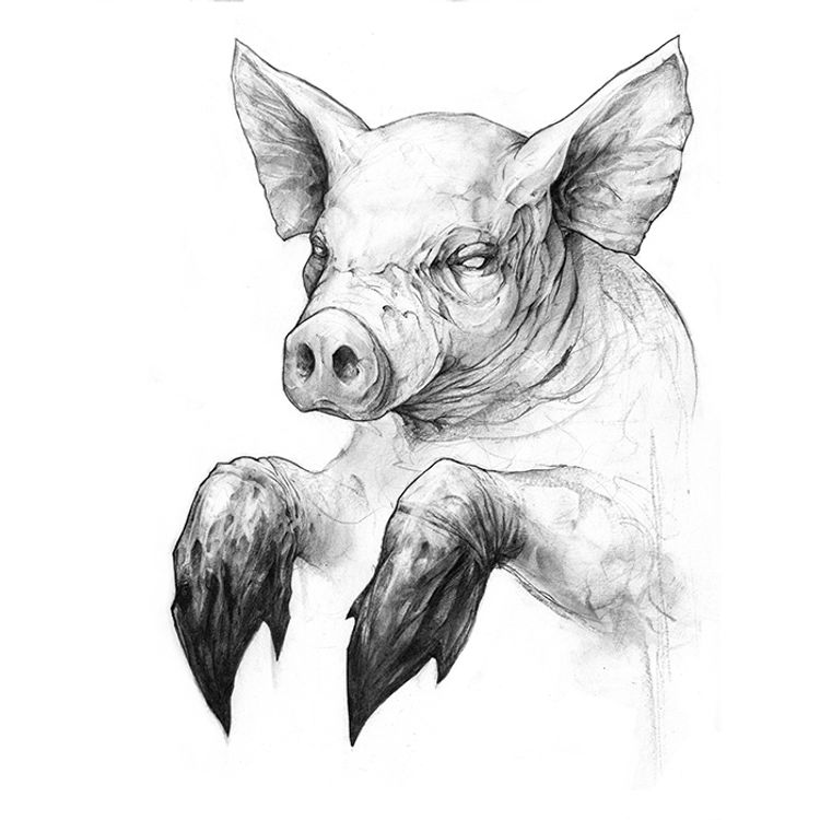 This Little Piggy by Dave Correia