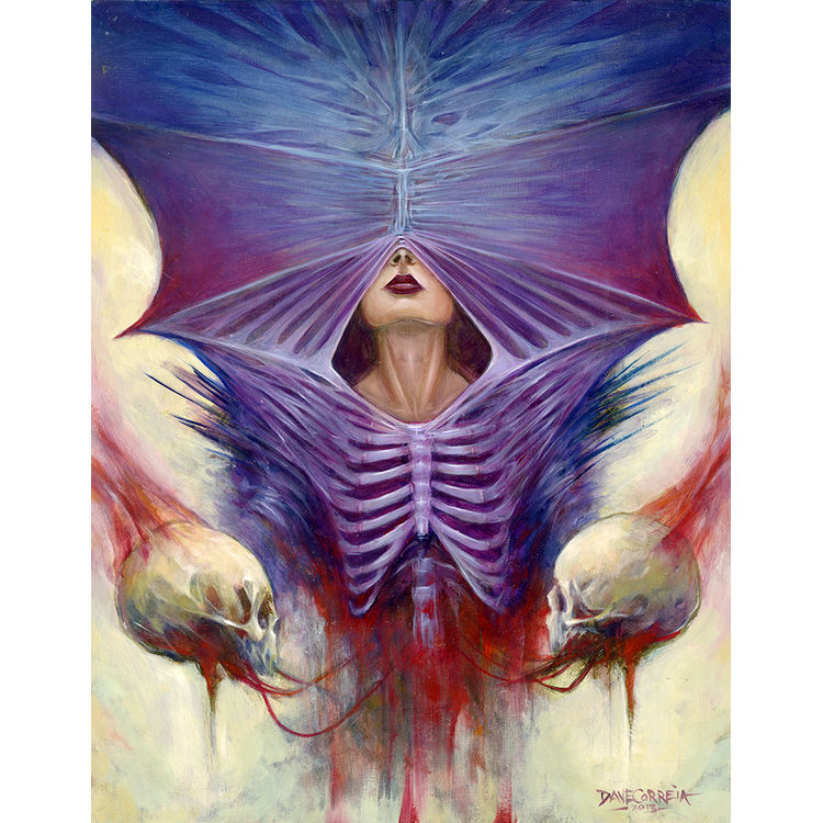 The Veil by Dave Correia