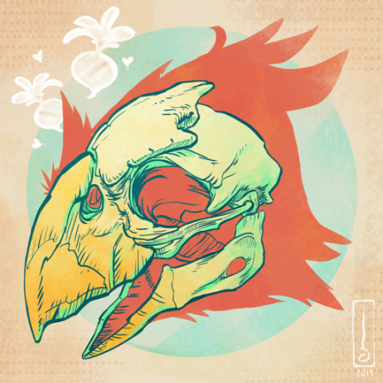 Skull of Chocobo Camelus by Cindy Liu