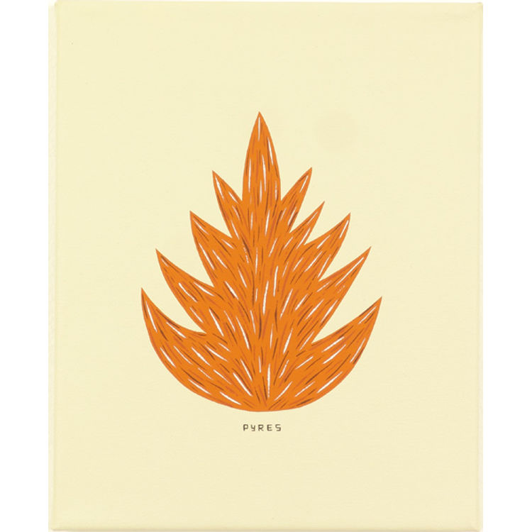 Pyres by Jim Houser