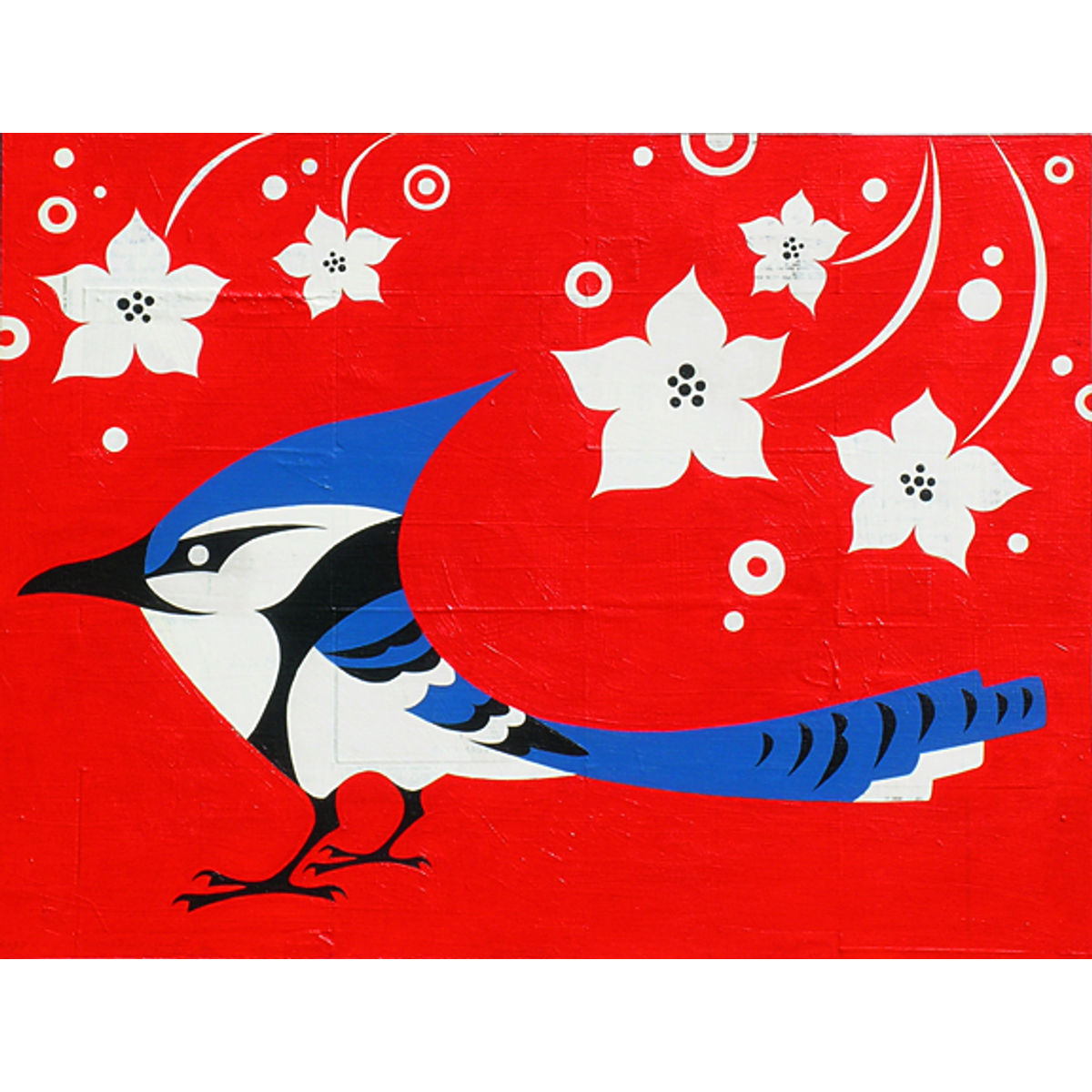 Blue Jay (Tree Jerk)