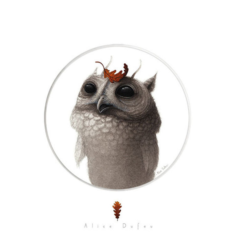 First Fall by Alice Dufeu