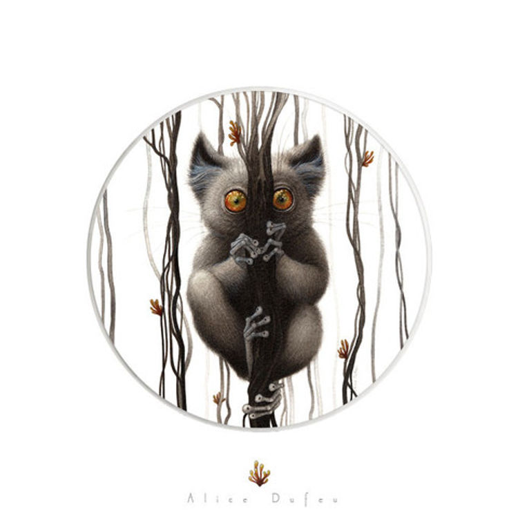 Hide and Seek by Alice Dufeu