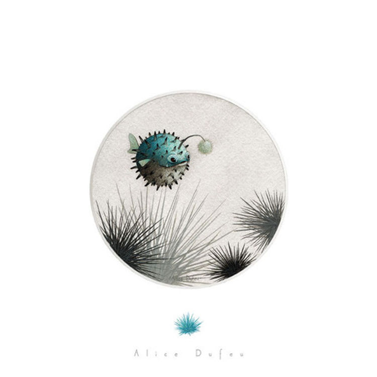 Out of the Blue by Alice Dufeu