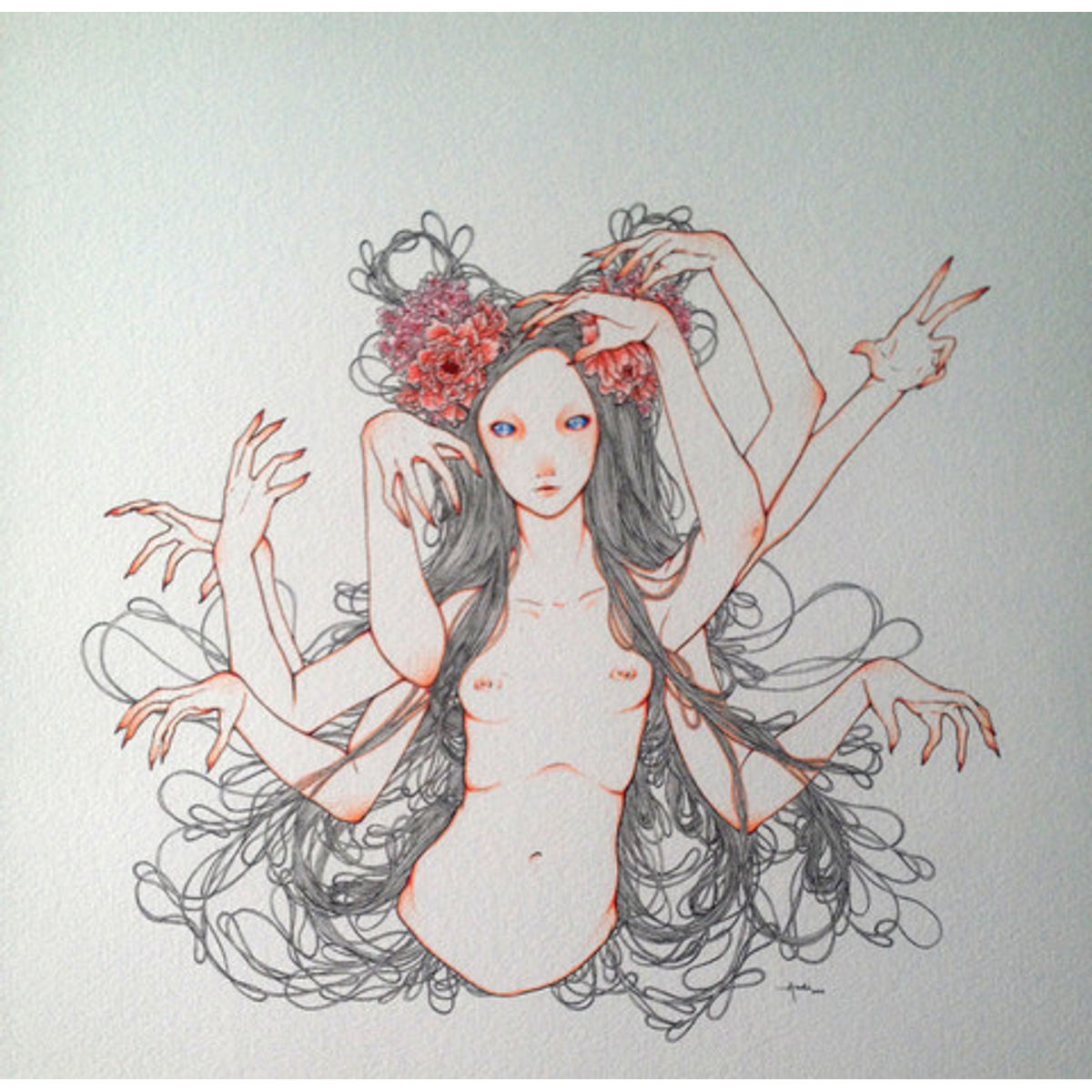 Octopus (Animal Series)