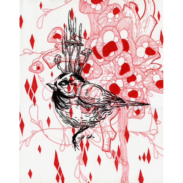 Inherited Infection by Jill Colbert