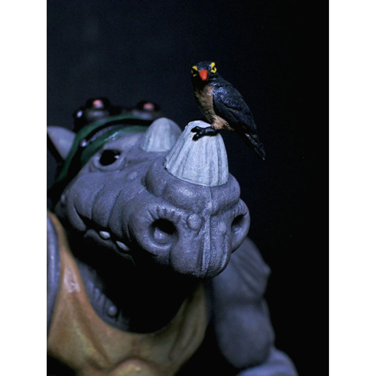 A RHINO & FRIEND