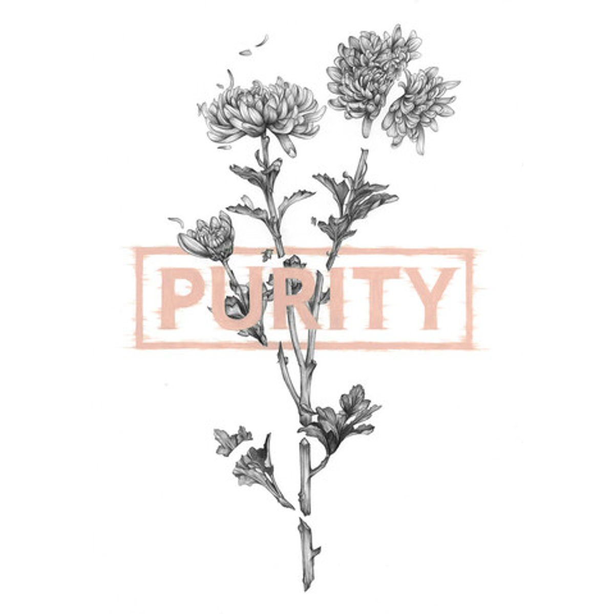 Lost Humanity: Purity