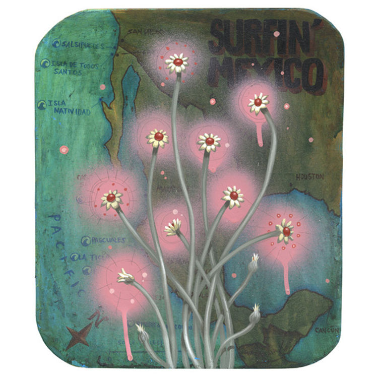 Mexican Flowers by Jeff Soto