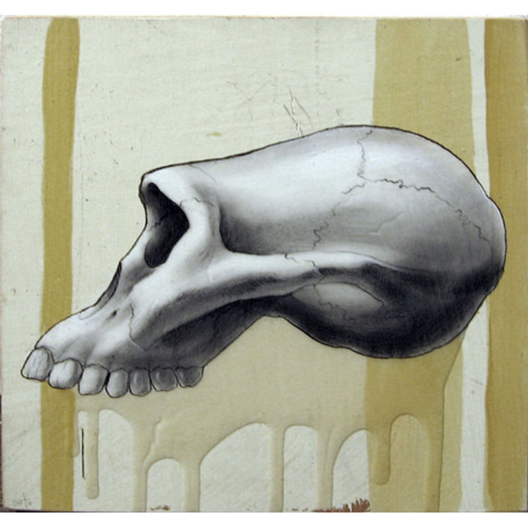 Afarensis Skull by Jeff Soto