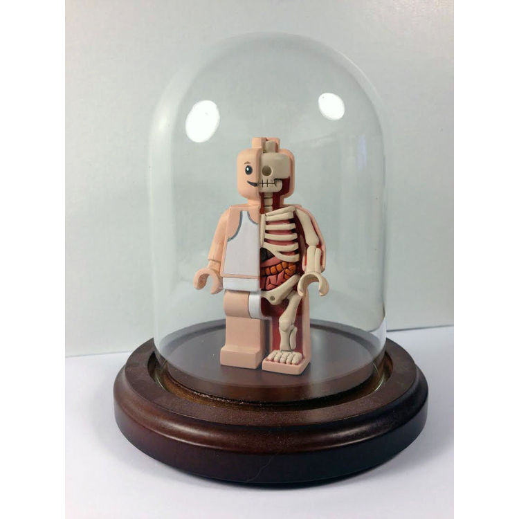 Lego Mini Figure Dissected Hand Sculpted Freeny 2.75" by Jason Freeny