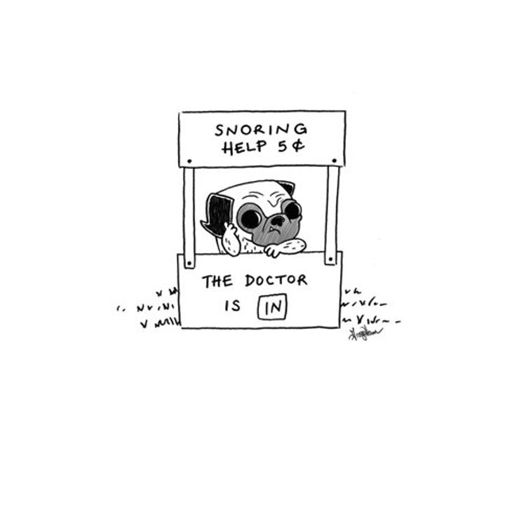 Snoring Pug by Greg Ham