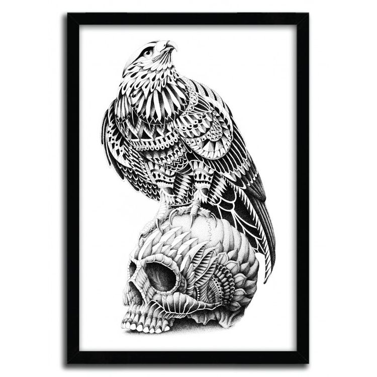 REDTAIL SKULL by Bioworkz