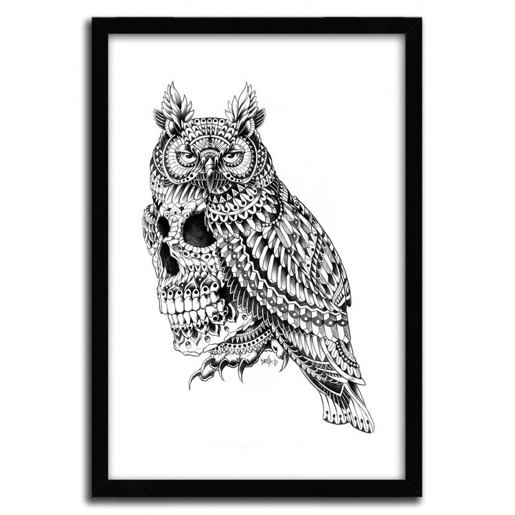 GREAT HORNED SKULL by Bioworkz