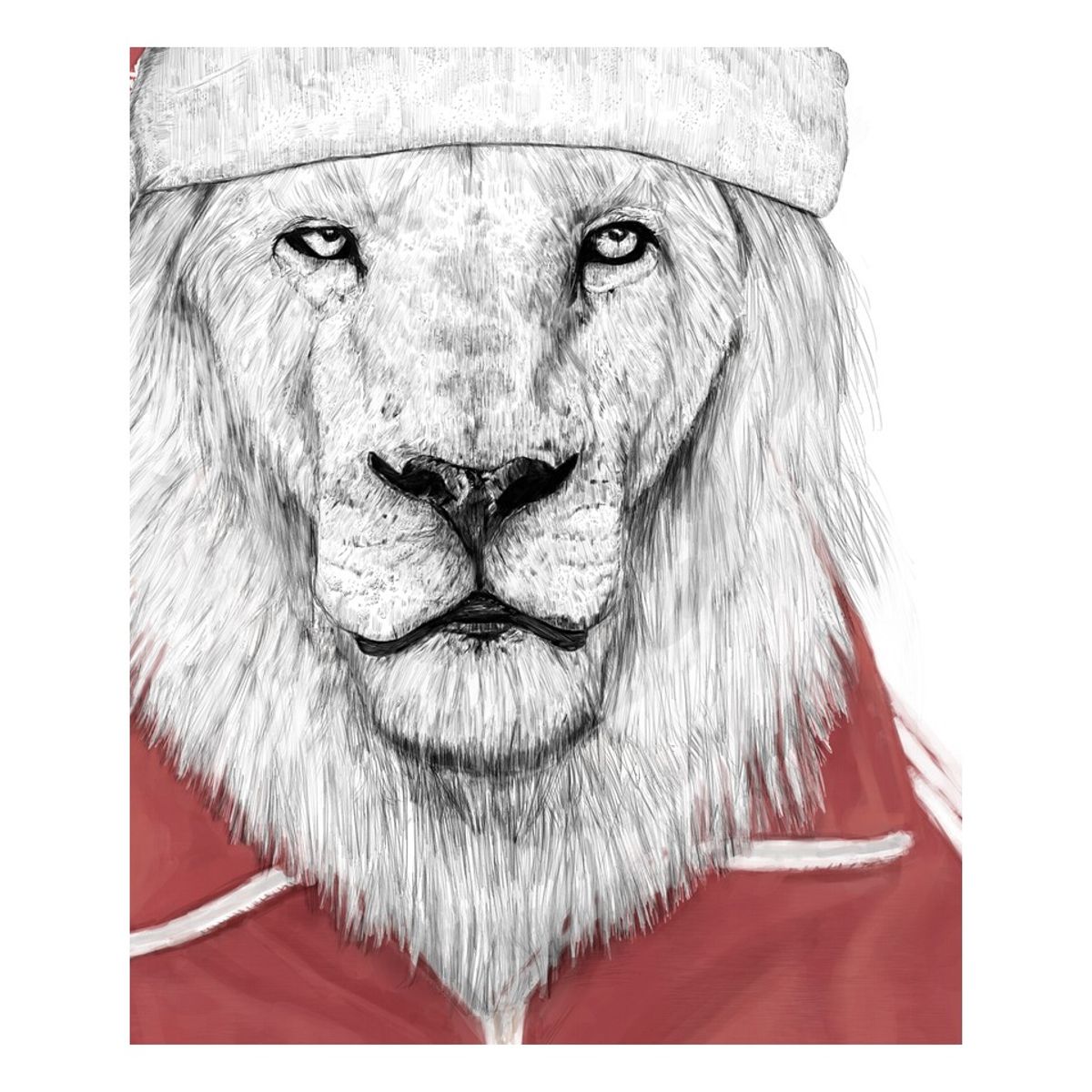 SANTA LION