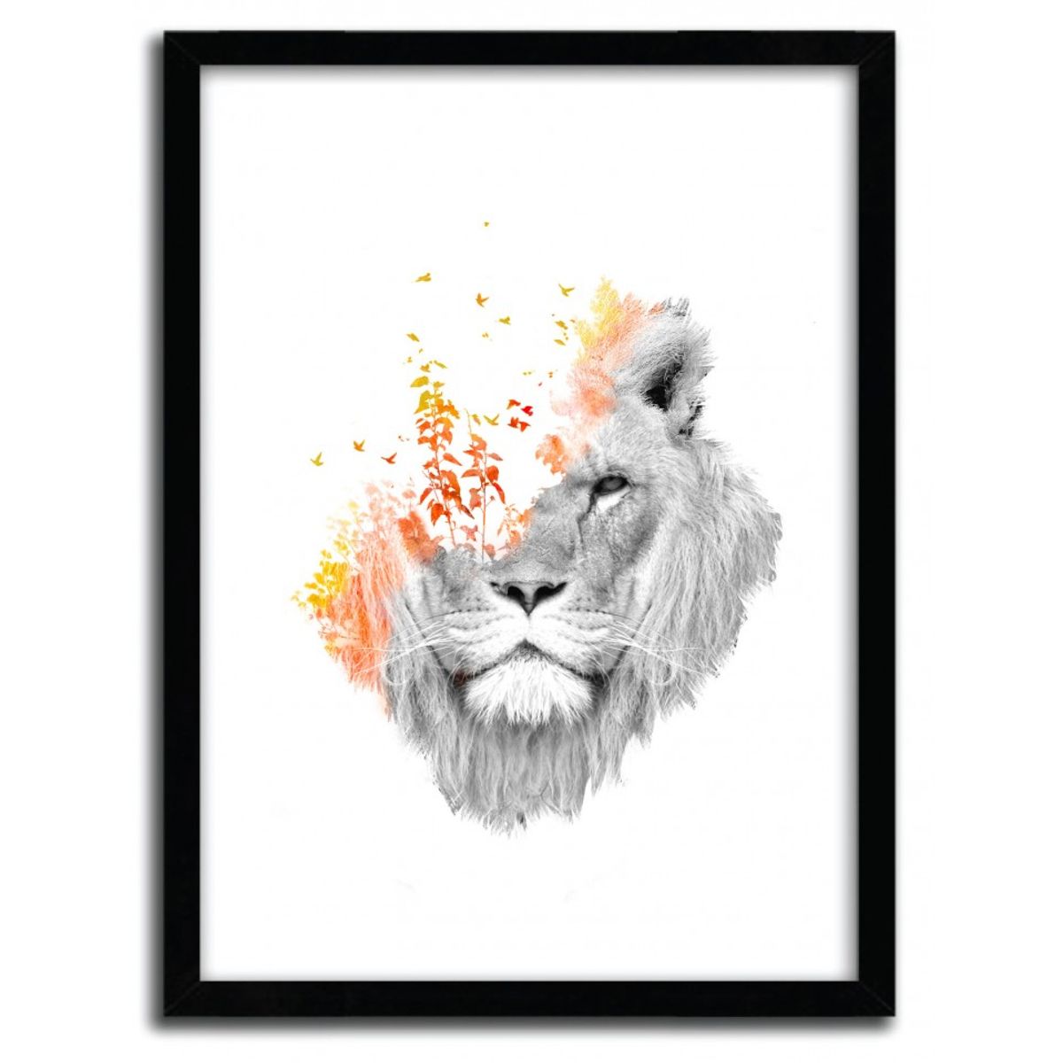 IF I ROAR (THE KING LION)
