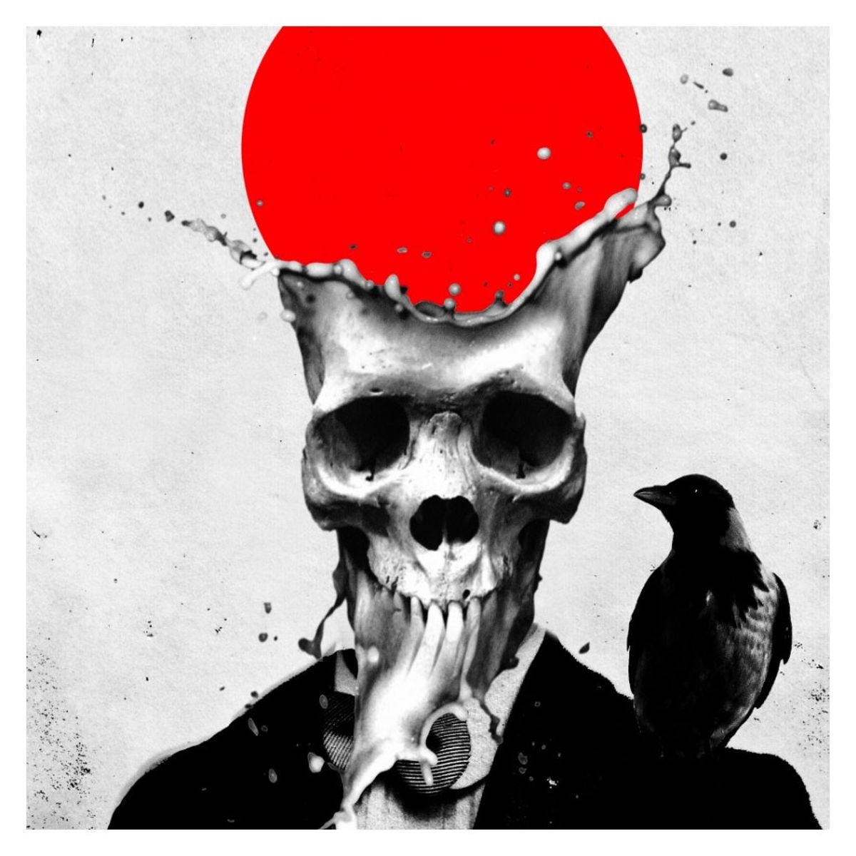 SPLASH SKULL