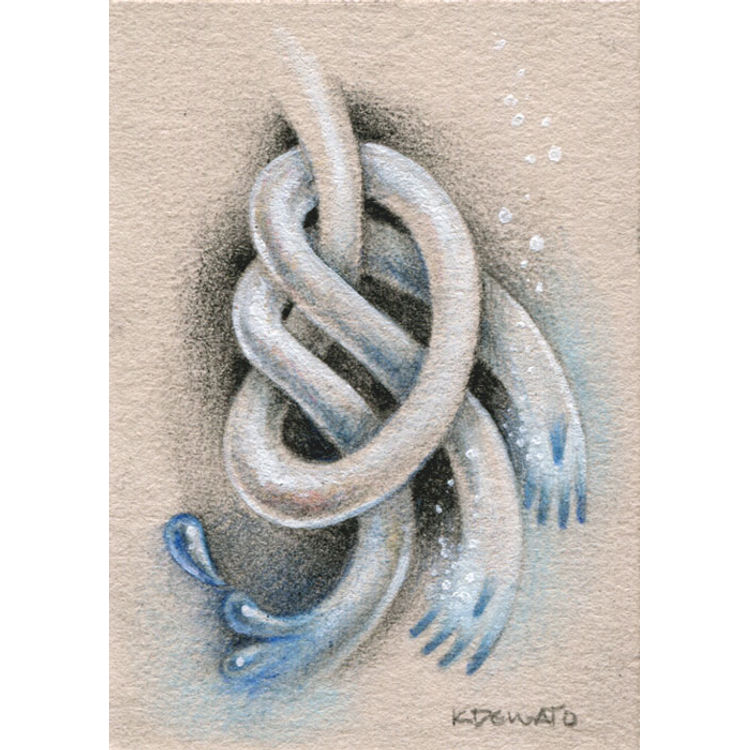Water Knot by Kelly Denato
