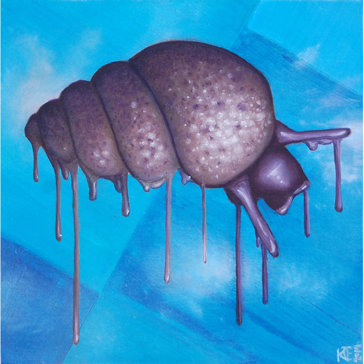 Springsnail by Katie Carillo