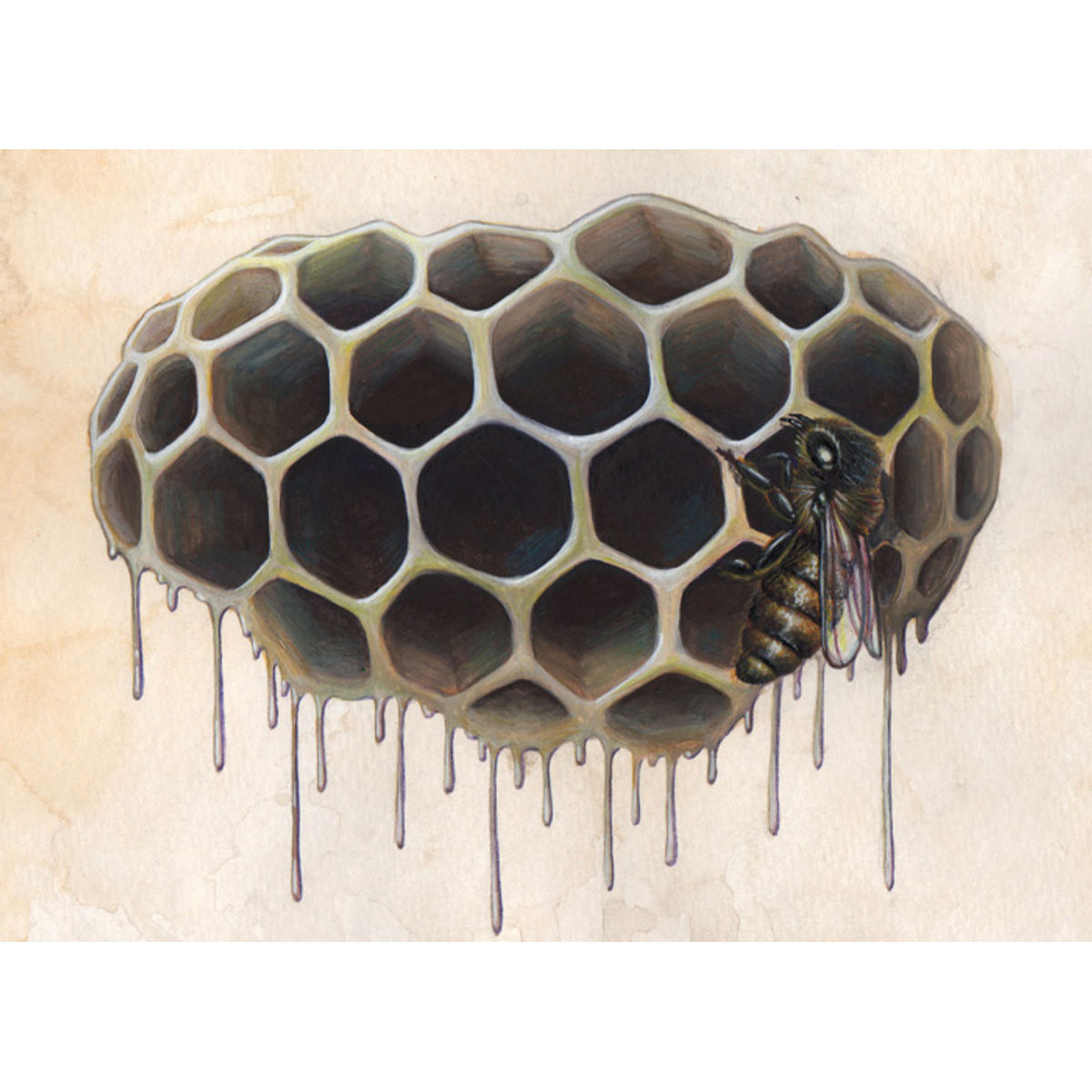 Hive Study