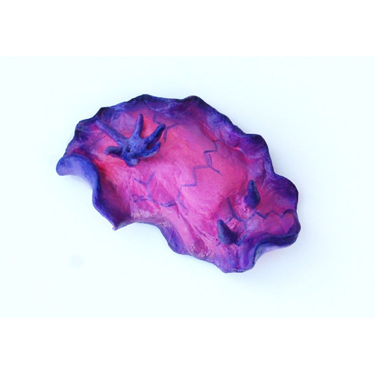 Nudibranch – Pink by Katie Carillo