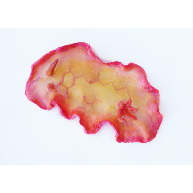 Nudibranch – Yellow by Katie Carillo