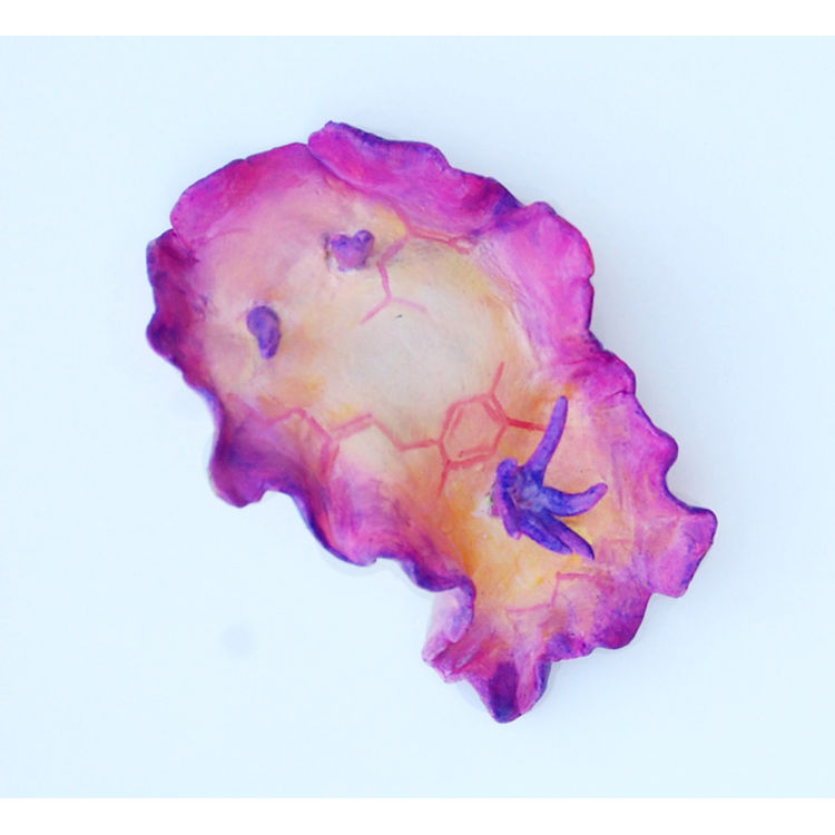 Nudibranch – Peach by Katie Carillo