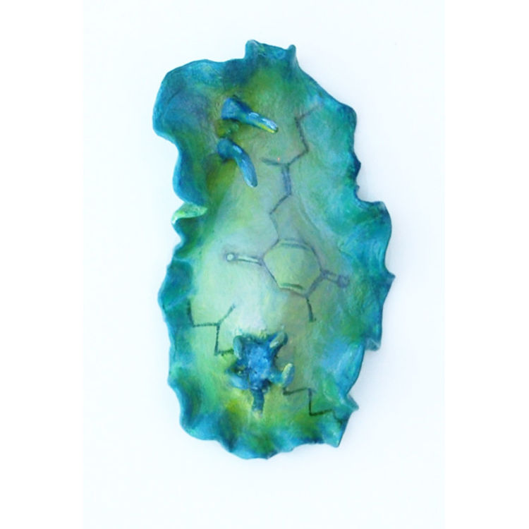Nudibranch – Green by Katie Carillo