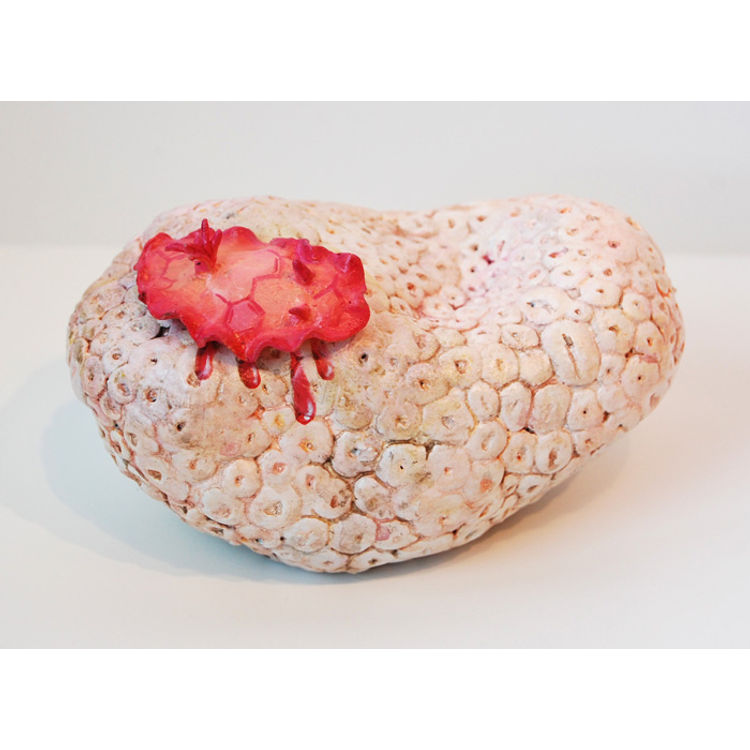 Star Coral by Katie Carillo