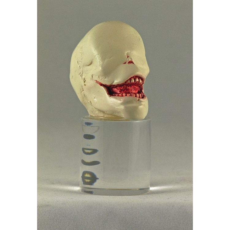 "WITNESS" Head Sculpt by PlaSeeBo (Bob Conge)