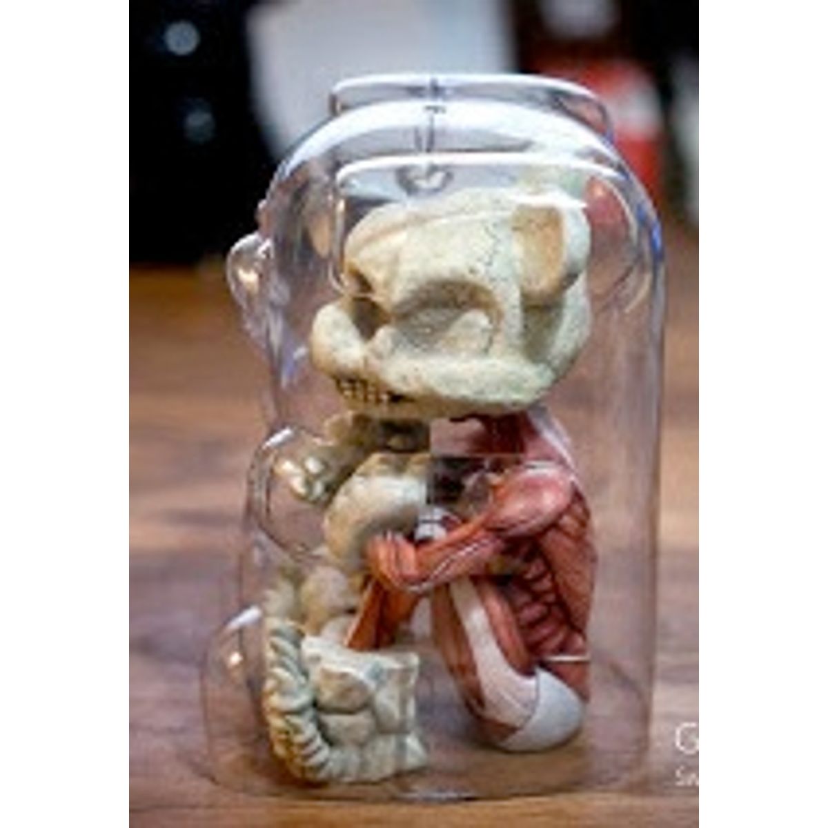 Gummy Keiko - Sweet of the DEAD