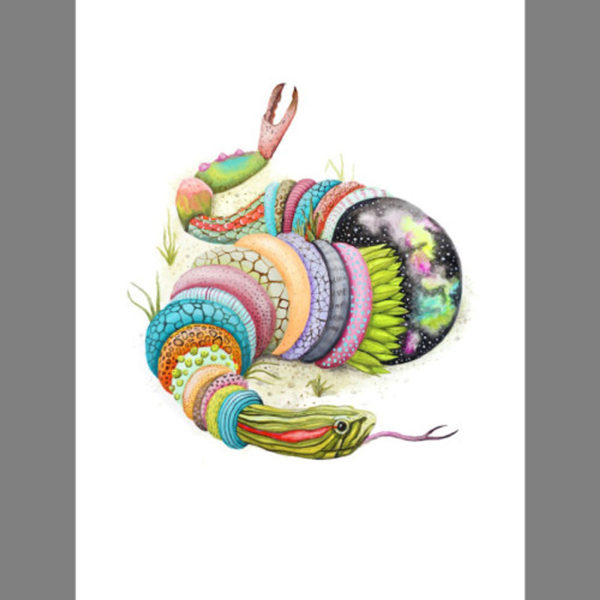 Red Eared Claw Snake