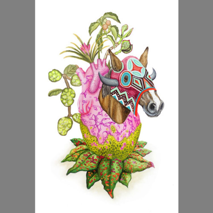 Horseheartedplant by Aaron Glasson