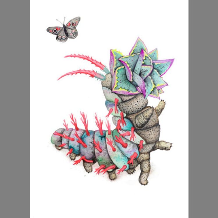 Cactipillar by Aaron Glasson