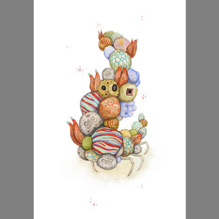 Baller Bug by Aaron Glasson