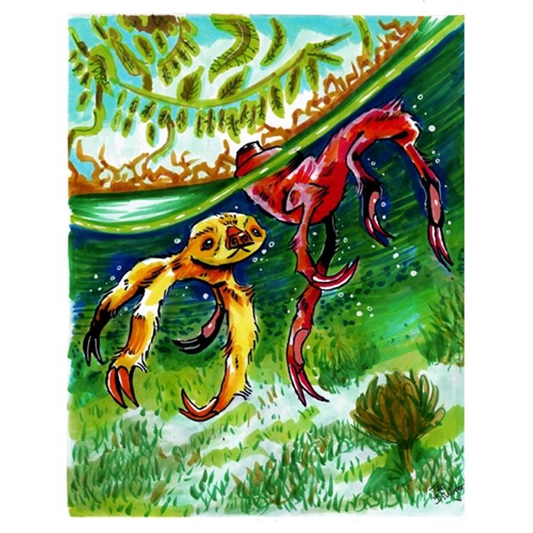 Slow Walkers, Fast Swimmers by Tara Billinger